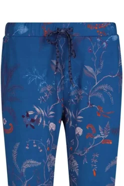 Lange Broek Isola