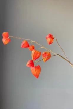 Pip Kunstbloemen Fall Beauty