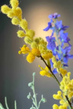 Pip Kunstbloemen Floral Fantasy